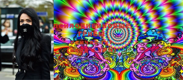 мяу мяу мука Баксан